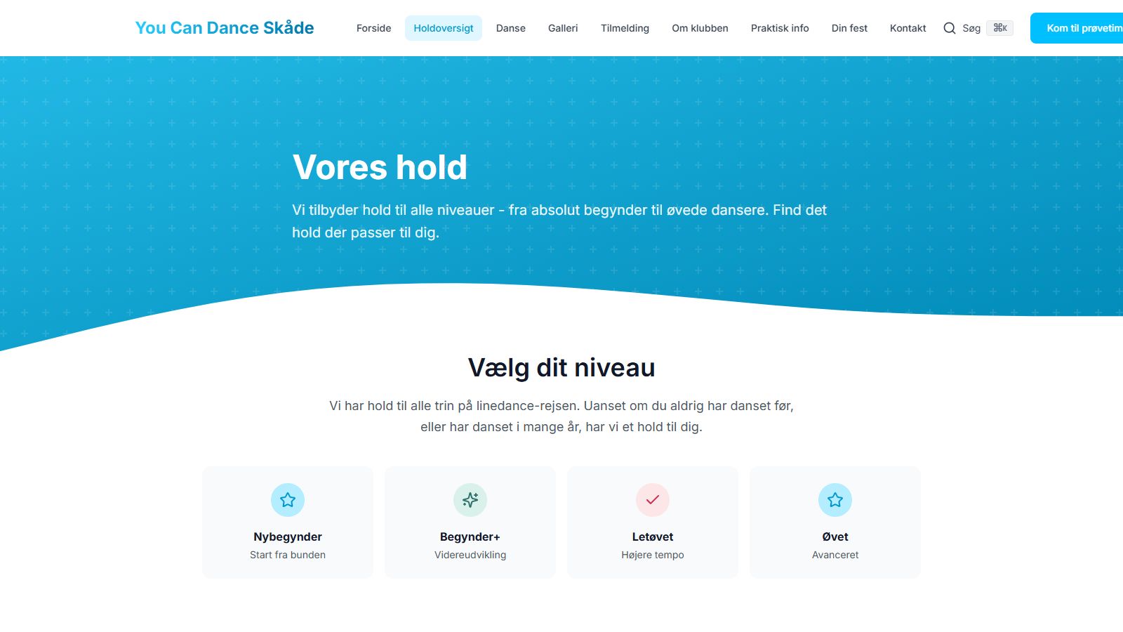 Oversigt over hold